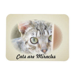 Photo Magnet - Les chats sont Miracles v.2