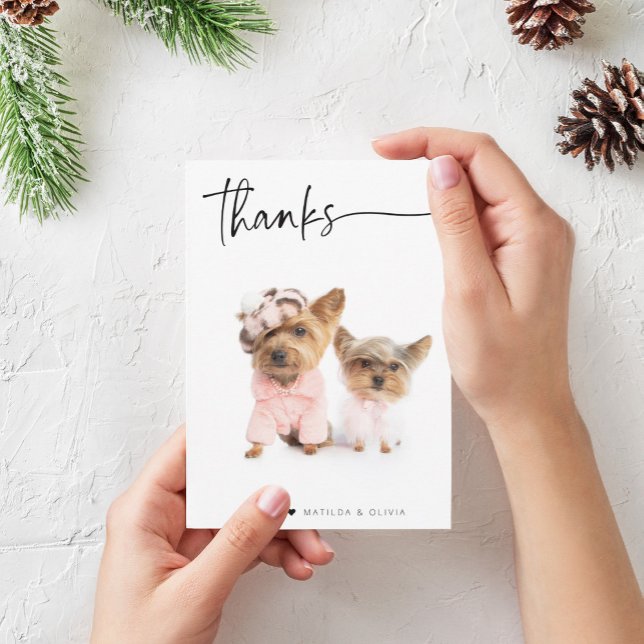 PHOTO MERCI script simple moderne (Créateur téléchargé)