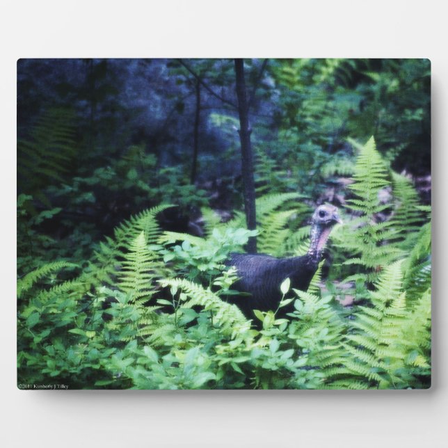 Photo Mère Turquie sur la Plaque des Ferns (Devant)