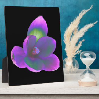 Photo Mystic Beauté Crocus Flower Plaque