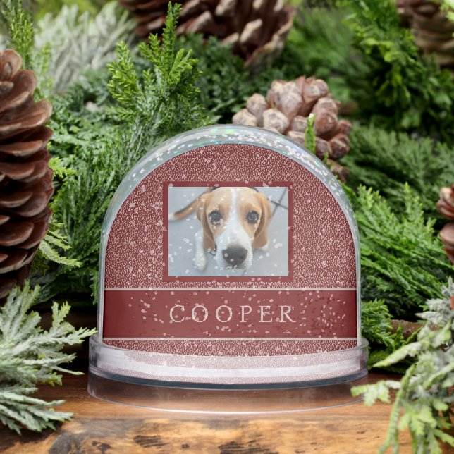 PHOTO NAME ELEGANT MAROON RED CREAM FOLIAGE   (Hiver)