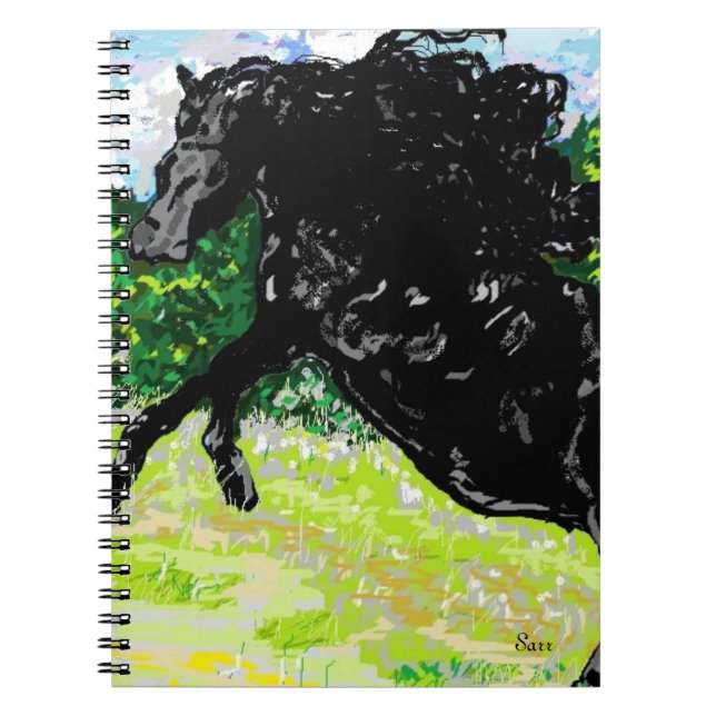 Photo Note Livre noir Stallion (Devant)
