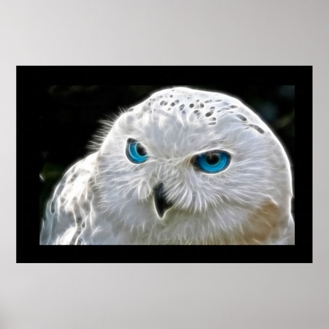 Photo Oiseau de Chouette blanche Poster du mur de  (Devant)