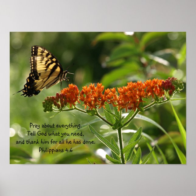 Photo papillon Philippians Bible Verse affiche (Devant)