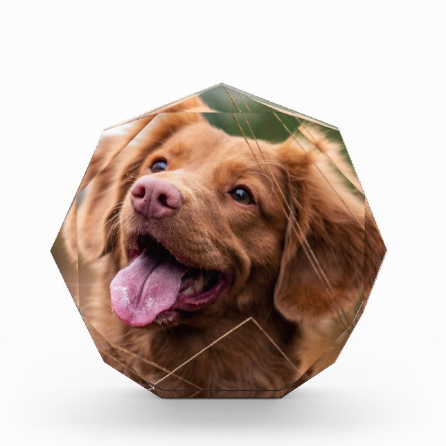 Photo personnalisée Animaux de compagnie Bloc phot (Devant)