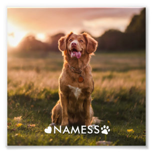 Photo personnalisée avec le nom de votre chien