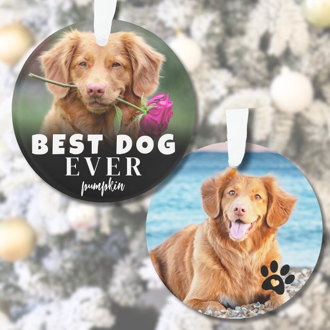 Photo personnalisée du meilleur chien mignon (Personalized Cute Best Dog Photo Ornament )
