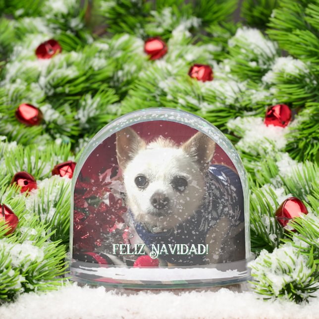 Photo pet child family baby vacation Snow Globe (Noël)