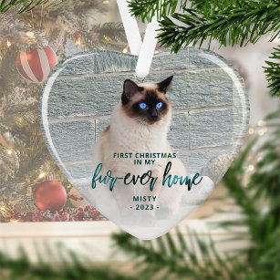 Photo Pet First Christmas Forever Home Vert Turquo