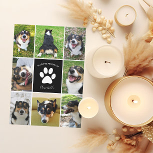 Photo Pet Memorial Chien Dans Love Carte Mémoire