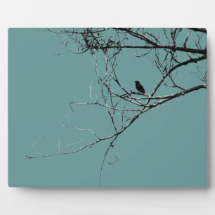 Photo Petite plaque d'oiseaux noirs