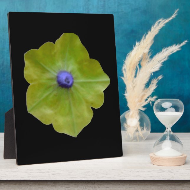 Photo Pétunia Green et Plaque Bleue (Côté)