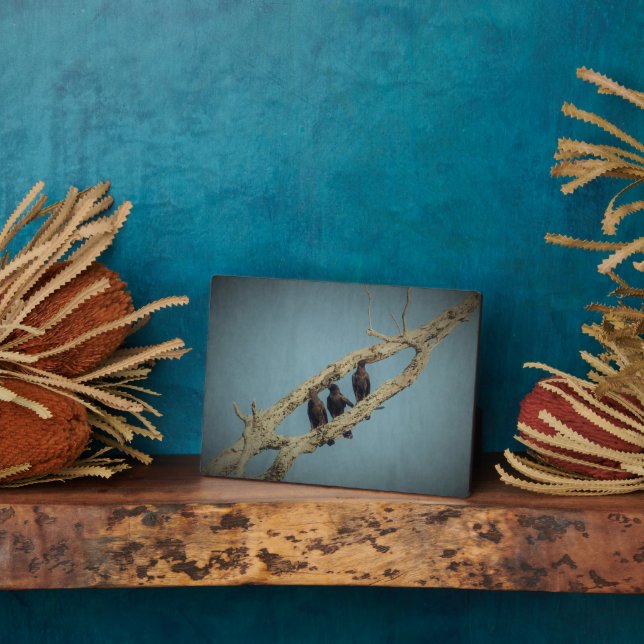 Photo Plaque 3 corbeaux (Côté)