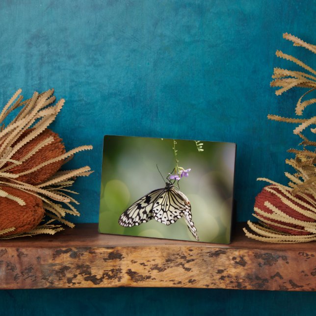 Photo Plaque à papillon Art déco (Côté)