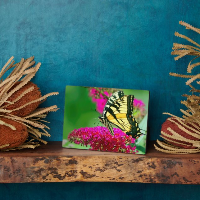 Photo Plaque à papillon Art déco (Côté)