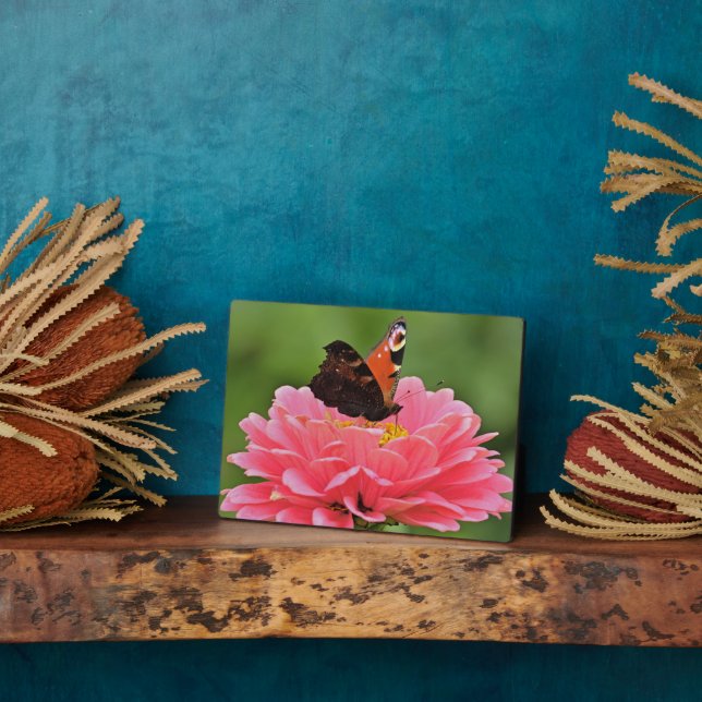 Photo Plaque à papillon Art déco (Côté)