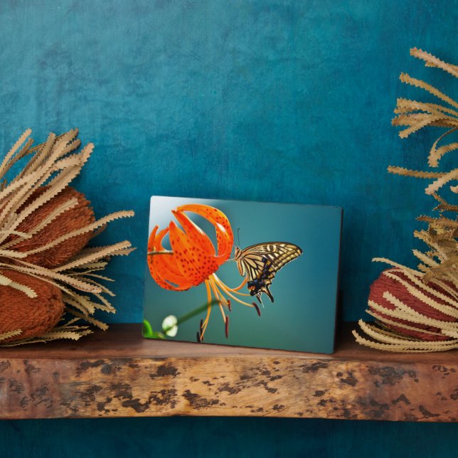 Photo Plaque à papillon Art déco (Côté)