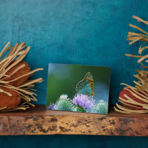 Photo Plaque à papillon Art déco