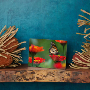 Photo Plaque à papillon Art déco