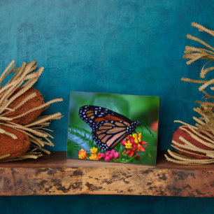 Photo Plaque à papillon Art déco
