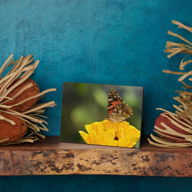 Photo Plaque à papillon Art déco (Côté)