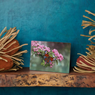 Photo Plaque à papillon Art déco