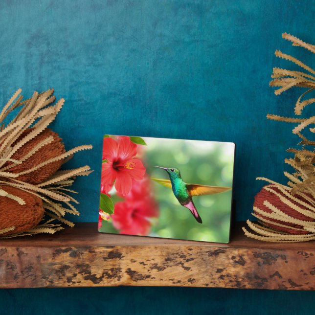 Photo Plaque Art Décor-Hummingbird (Côté)