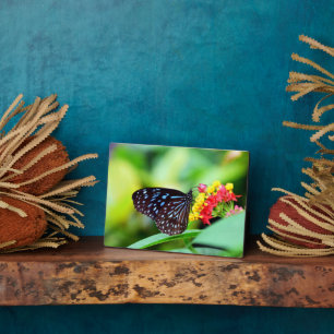 Photo Plaque Art Décor Papillon
