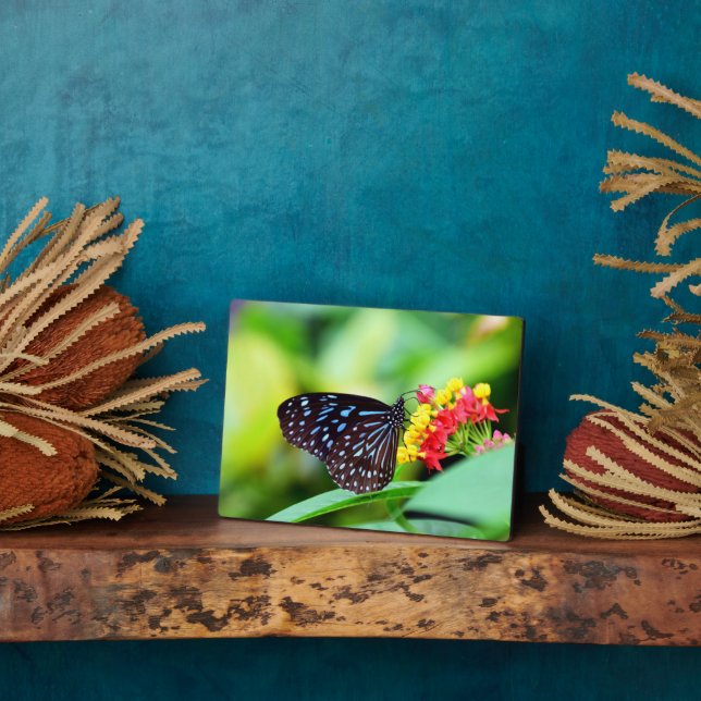 Photo Plaque Art Décor Papillon (Côté)