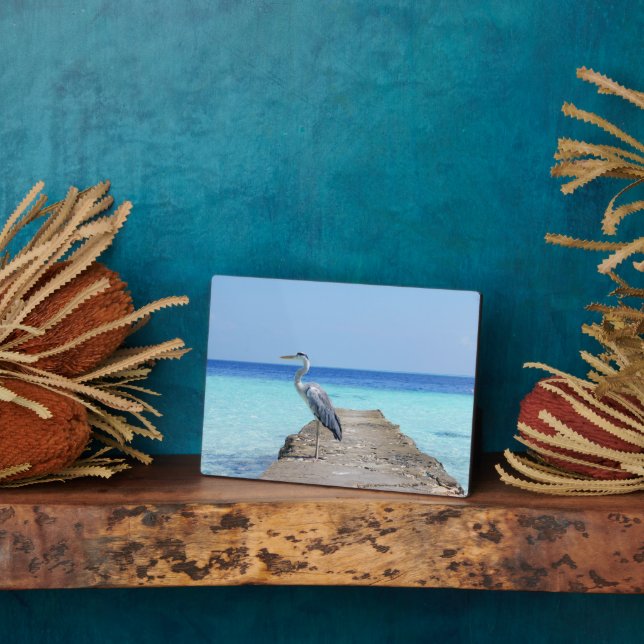 Photo Plaque Art Décor Sea Bird (Côté)