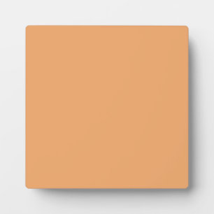Photo Plaque avec Arrière - plan Pastel Orange