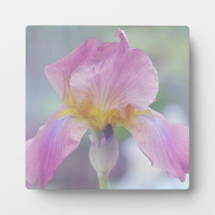 Photo Plaque avec Easle L'Iris dans les Pastels