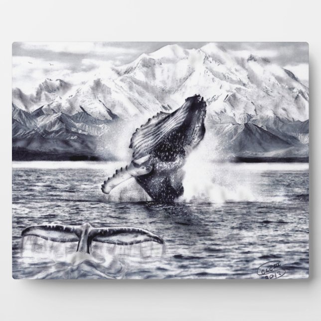 Photo Plaque baleines (Devant)
