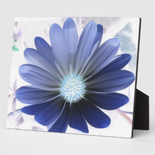 Photo Plaque bleue céleste