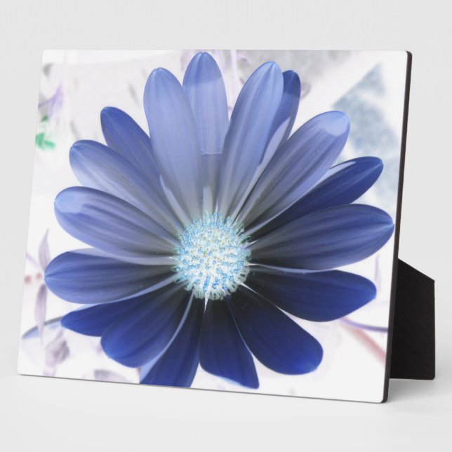 Photo Plaque bleue céleste (Côté)