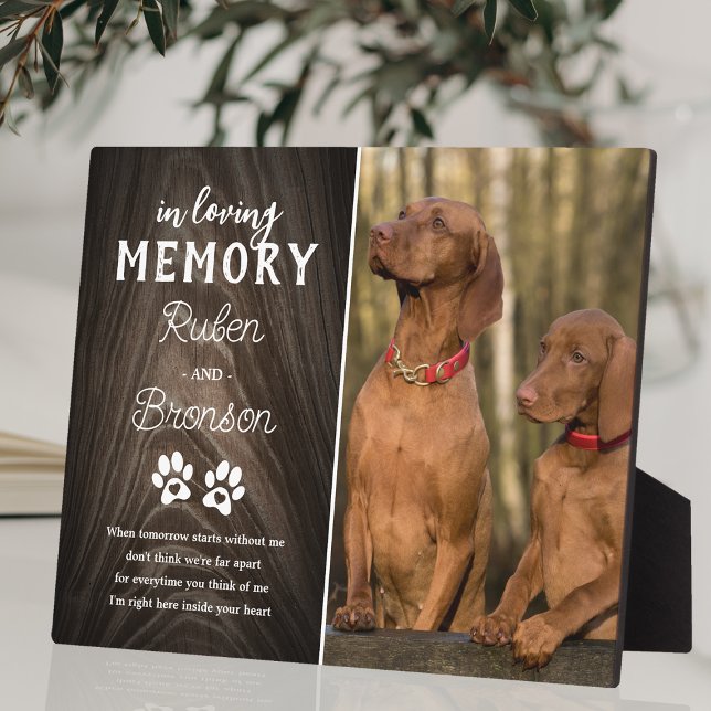 Photo Plaque commémorative commune pour animaux de compa (Créateur téléchargé)