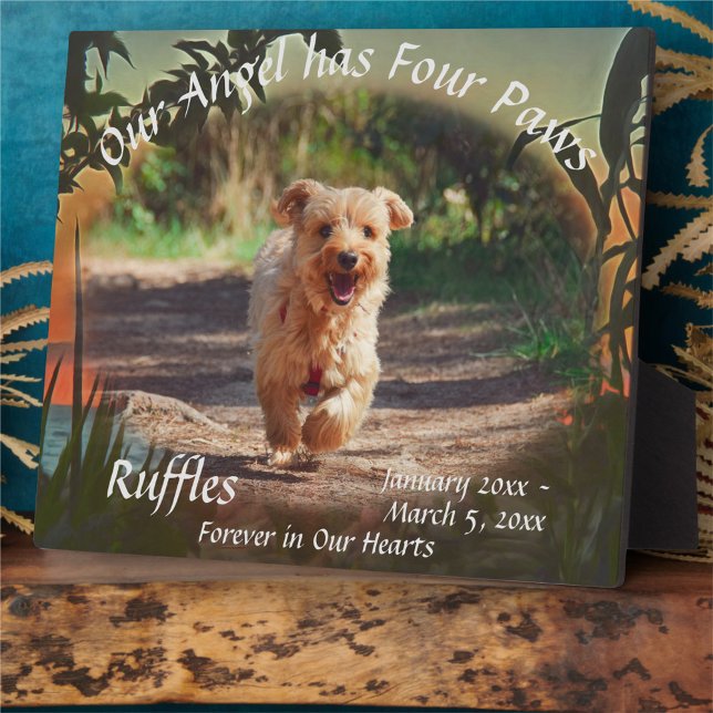 Photo Plaque commémorative quatre pattes du coucher de s (Créateur téléchargé)