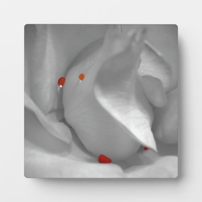 Photo Plaque d'aquarelle de l'Éolienne (Devant)