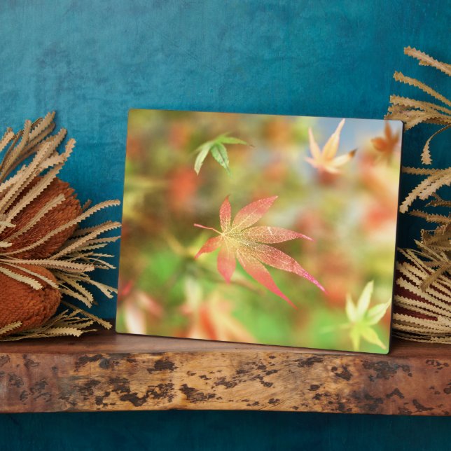 Photo Plaque d'automne Filigree (Côté)