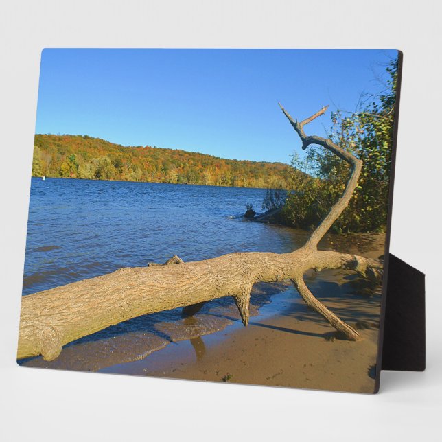 Photo Plaque de bois franc (Côté)