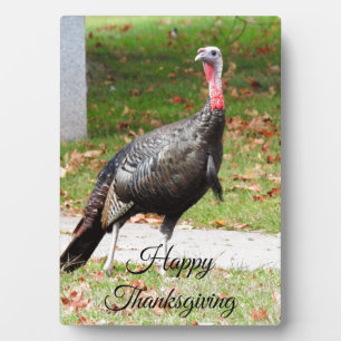 Photo Plaque de bon thanksgiving Turquie