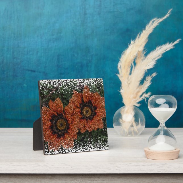 Photo Plaque de boules de marguerite orange (Insitu)