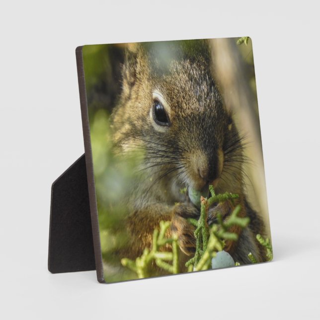 Photo Plaque de bureau Rock Squirrel (Recto)