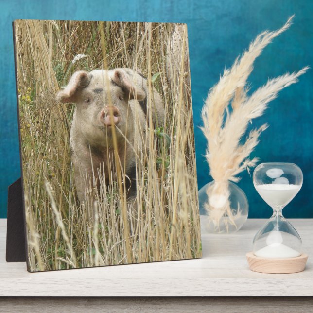 Photo Plaque de cochon mignonne (Côté)