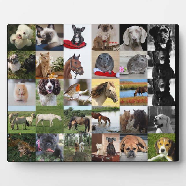 Photo Plaque de colage 30xPhoto - N'IMPORTE QUELLE Occas (Devant)