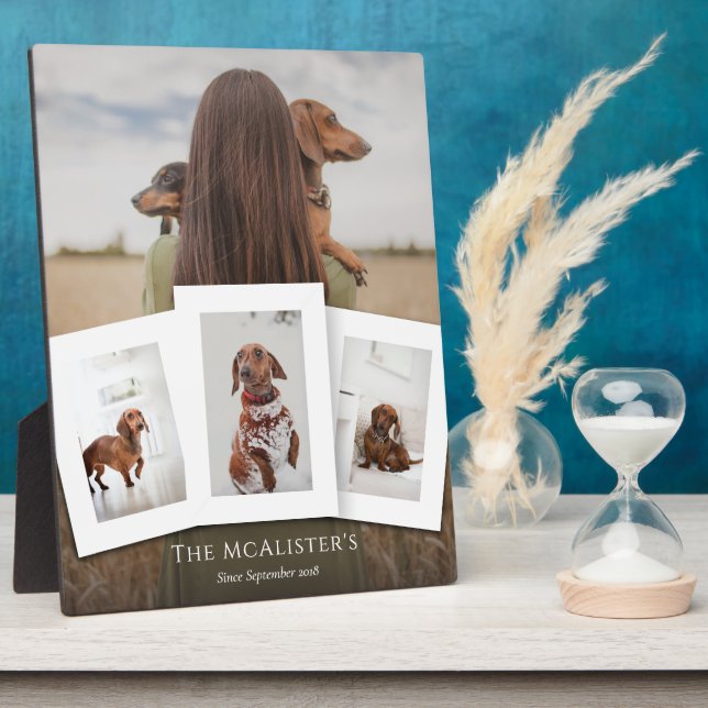 Photo Plaque de collage de quatre photos pour animaux fa (Côté)