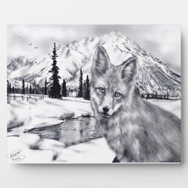 Photo Plaque de Fox et de Mountains (Devant)