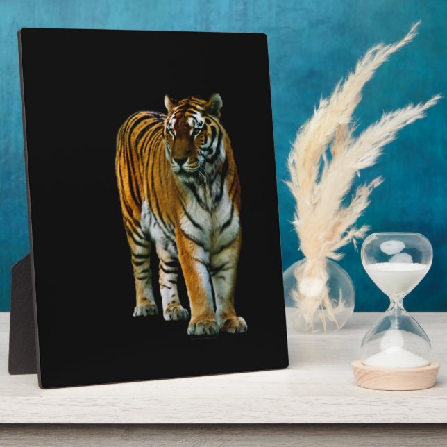 Photo Plaque de Hu Lin (Côté)