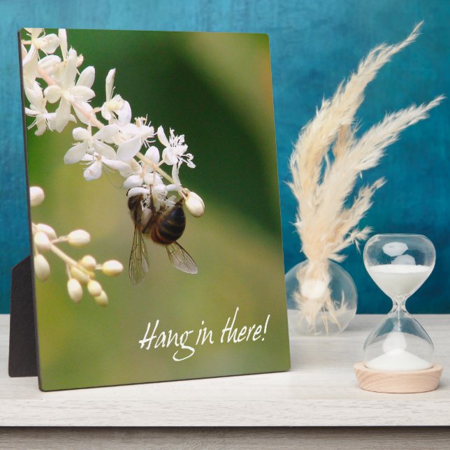 Photo Plaque de motivation "Hang in There" (Côté)