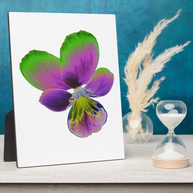 Photo Plaque de Pansy violet et vert (Côté)